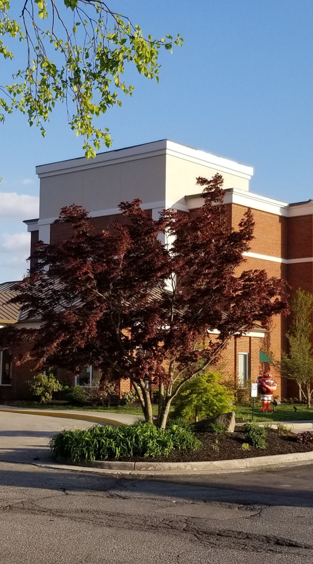 fe8149_e69ae203b27d4a3e8cff028a85360828~mv2 comfort inn renovation blacksburg virginia